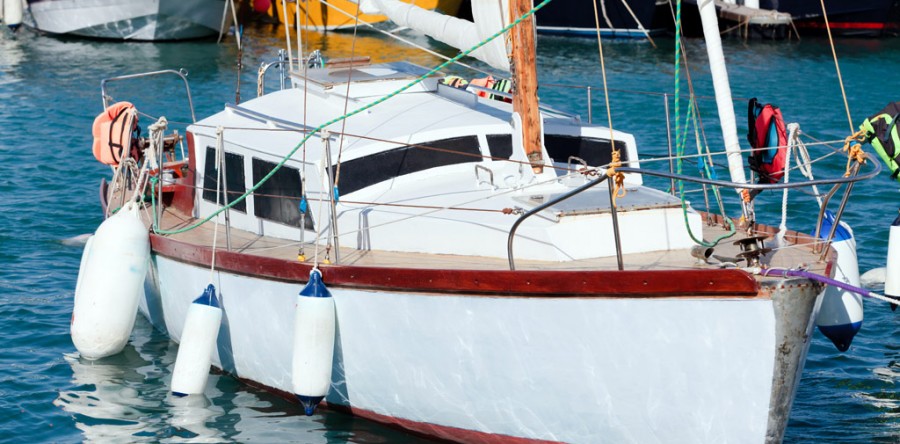 Suspendisse arcu nisl